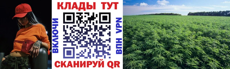 Купить наркотик Мирный A PVP  МЕТАМФЕТАМИН  Кокаин  АМФЕТАМИН  МАРИХУАНА  ГАШИШ  Меф 