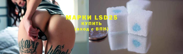 spice Козельск