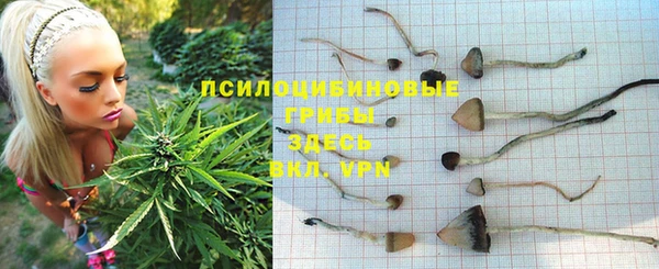 spice Козельск
