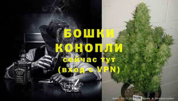 прущие крисы Горняк