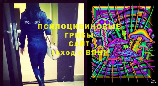 шишки Горнозаводск