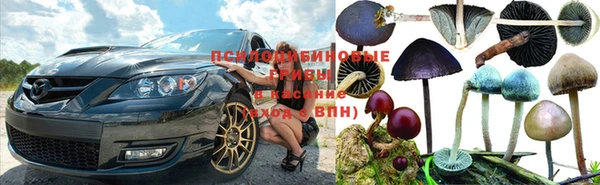 MESCALINE Кодинск
