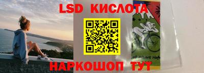 ГАЛЛЮЦИНОГЕННЫЕ ГРИБЫ Заволжье
